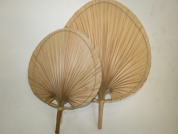 Palm Leaf Hand Fan, model: F-143