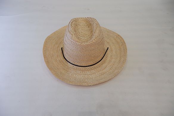 Cowboy men hat, model: H-196