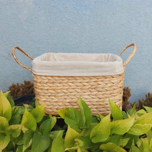 Water Hyacinth Basket, model: DG04